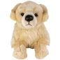 Preview: Golden Retriever liegend