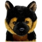 Preview: Schäferhund Welpe
