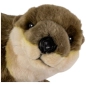 Preview: Otter