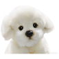 Preview: Bichon dog sitting