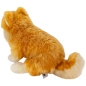 Preview: Zwergspitz sitzend, Pomeranian Hund