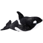 Preview: Wal, Killerwal Orca