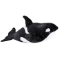 Preview: Wal, Killerwal Orca