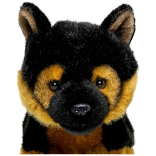 Schäferhund Welpe
