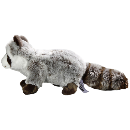 Raccoon