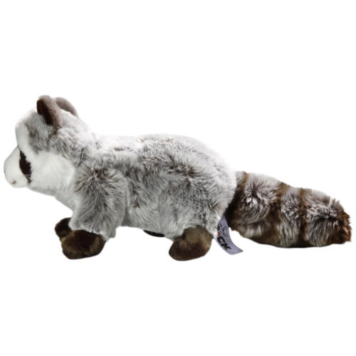 Waschbär