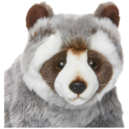 Waschbär