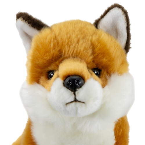 Preview: Fox sitting