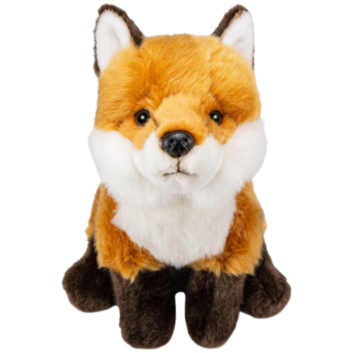 Fox sitting