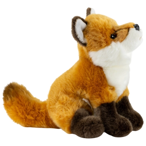 Fox sitting