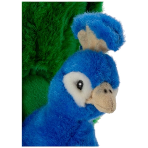 Pfau
