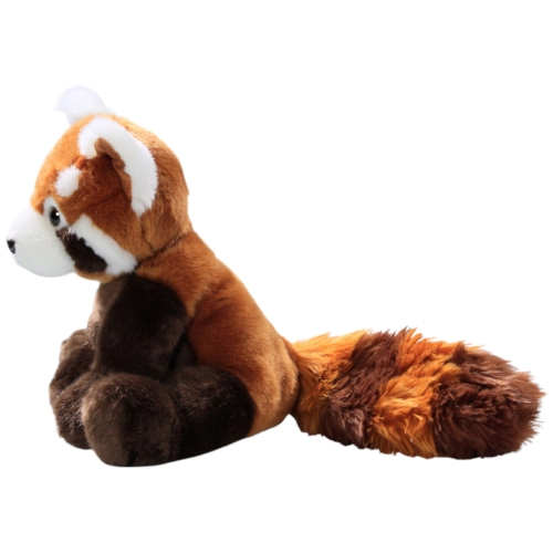 Katzenbär, Roter Panda sitzend