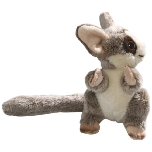 Buschbaby, Galagos