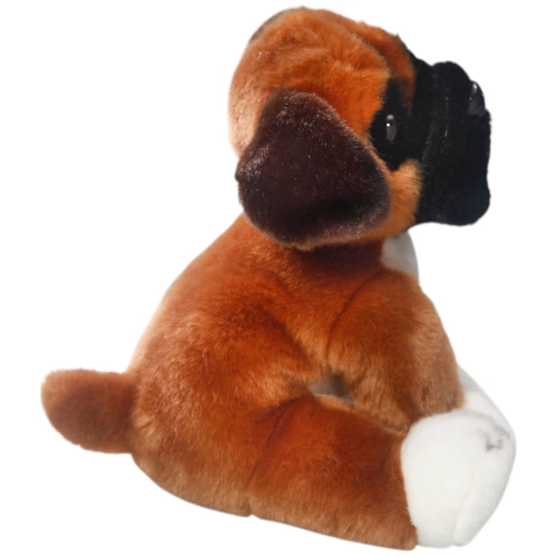 Boxer