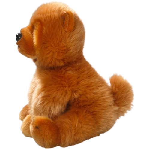Chow-Chow