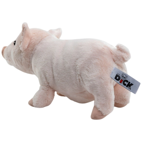 Schwein, Ferkel