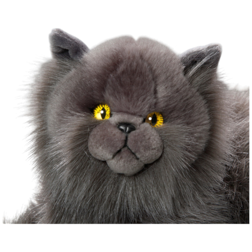 Preview: Katze, Perserkatze liegend grau