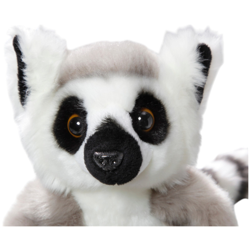 Katta, Lemur mit Klett