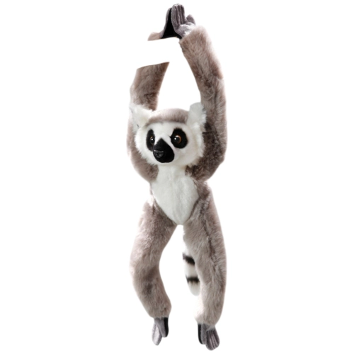 Katta, Lemur mit Klett