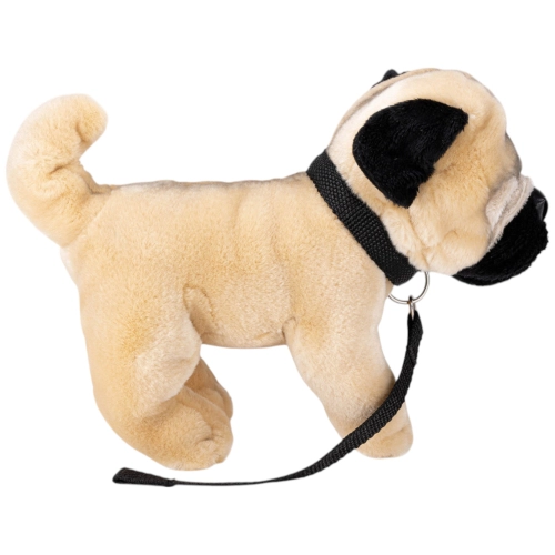 Pug with lead standing