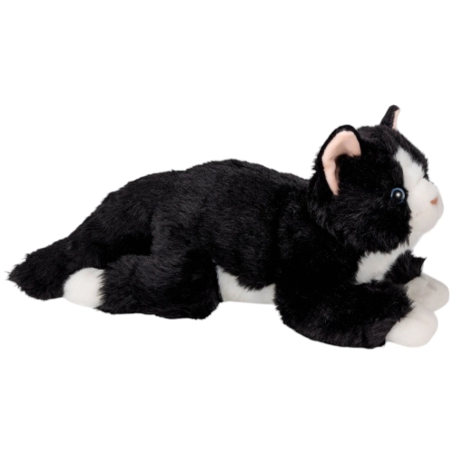 Katze schwarz-weiss liegend