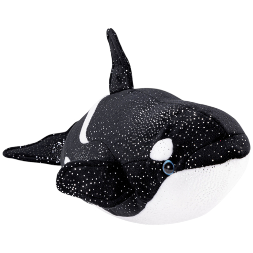 Wal, Killerwal Orca