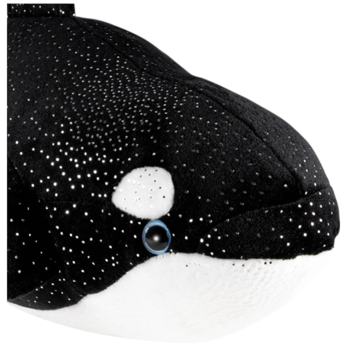 Wal, Killerwal Orca