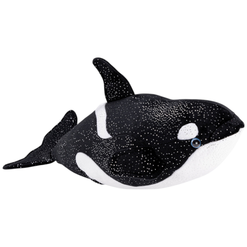 Wal, Killerwal Orca
