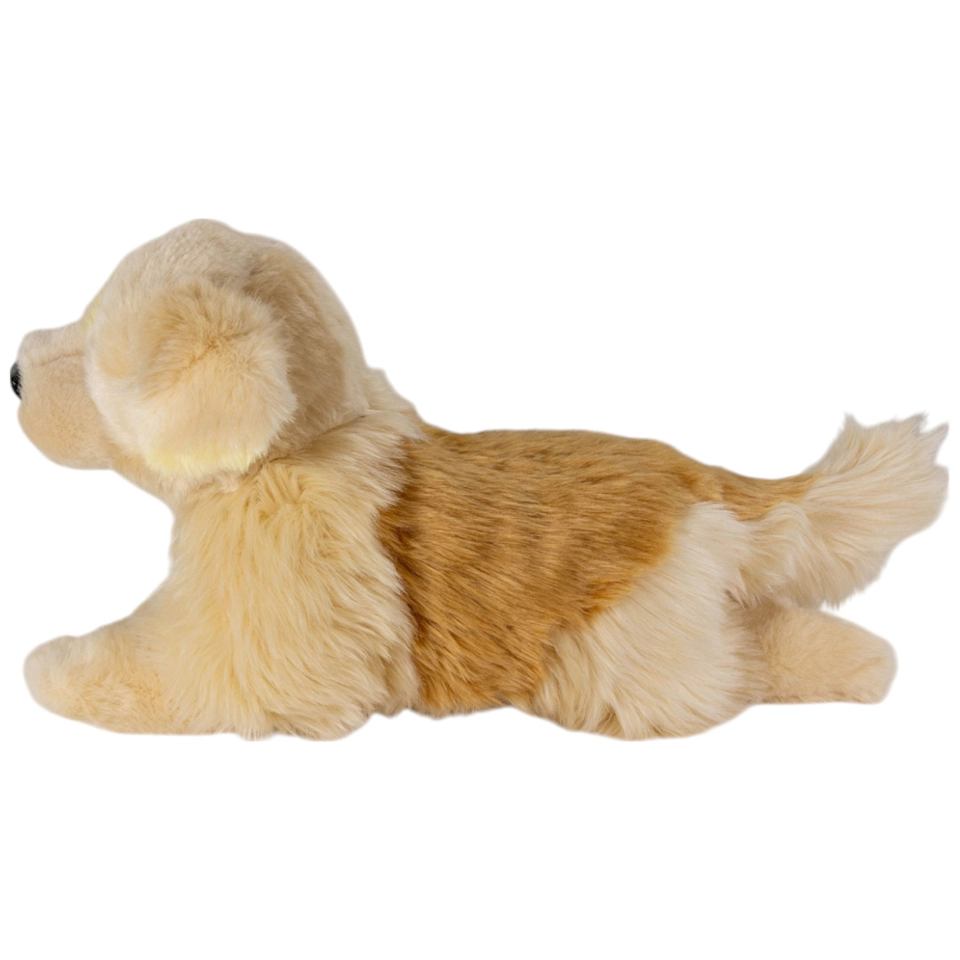 Golden Retriever liegend