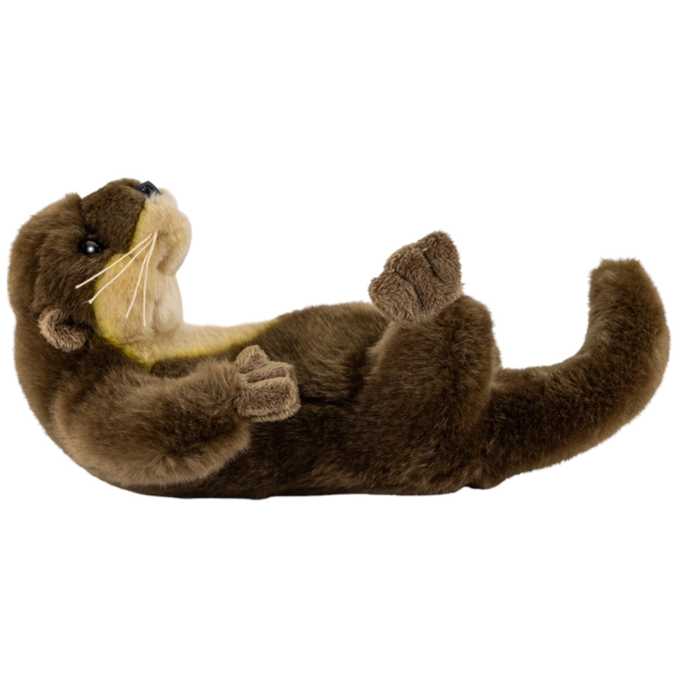 Otter liegend