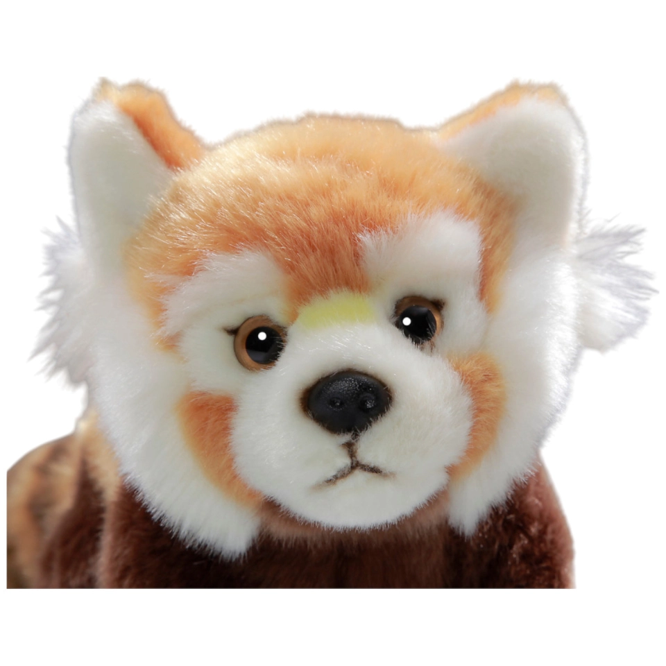 Katzenbär, Roter Panda