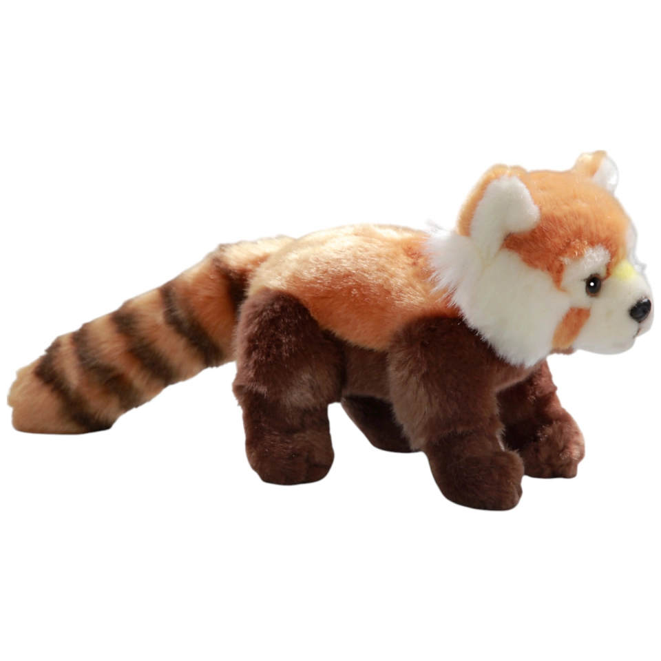 Katzenbär, Roter Panda