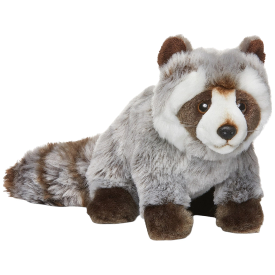 Waschbär
