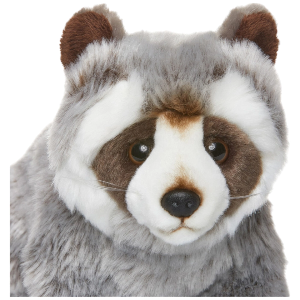 Waschbär