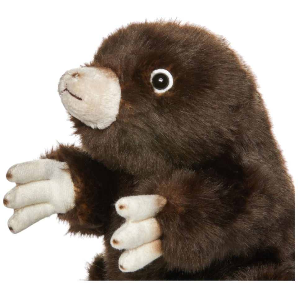 Maulwurf