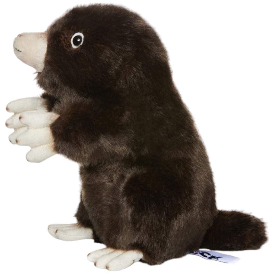 Maulwurf