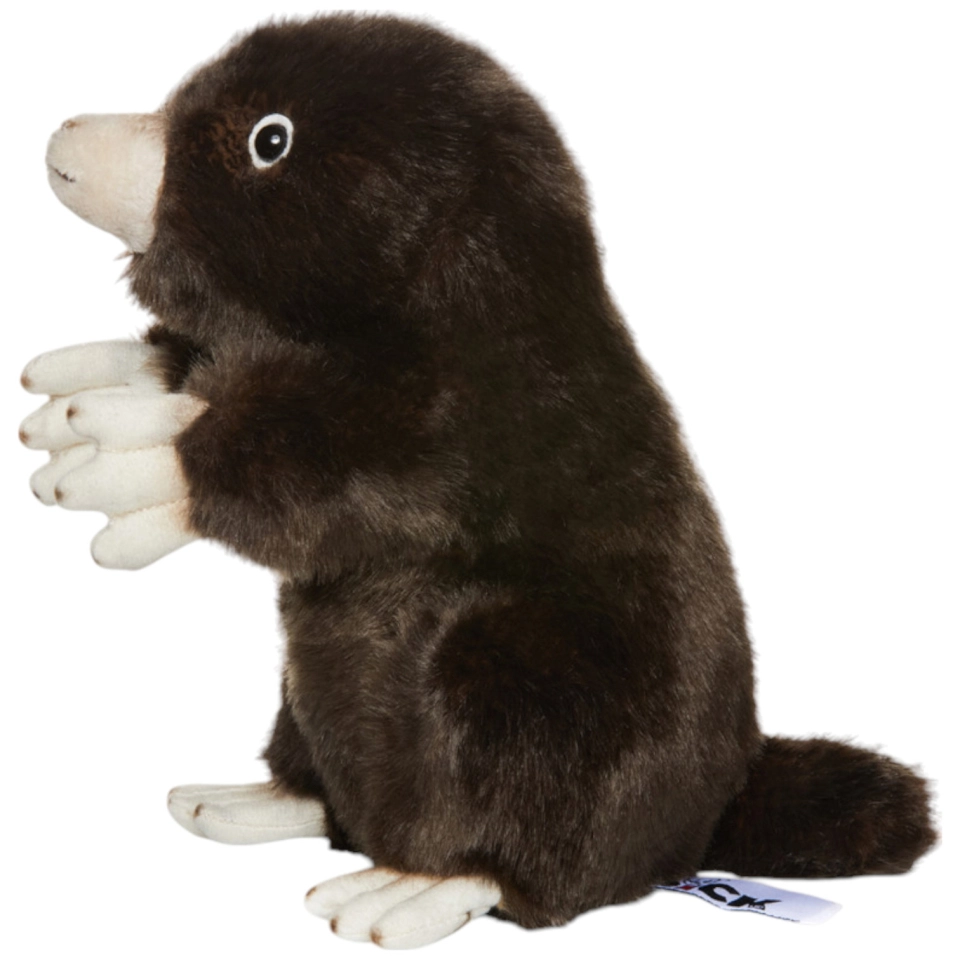 Maulwurf