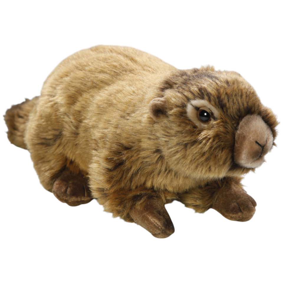Carl Dick Plush Toy Marmot