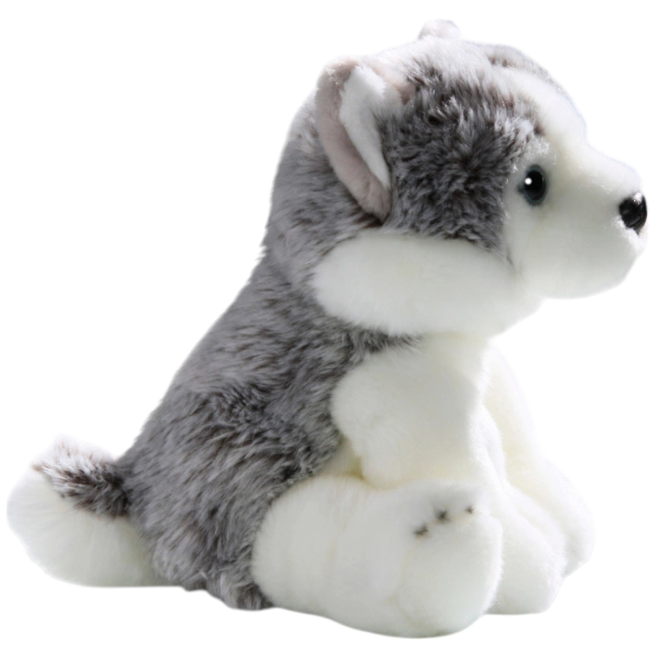 Husky Welpe