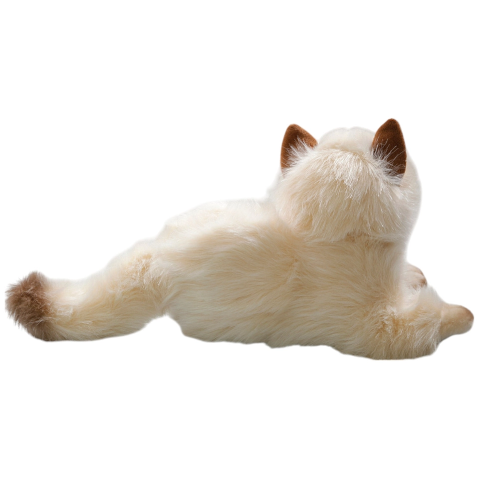 Katze, Perserkatze liegend beige