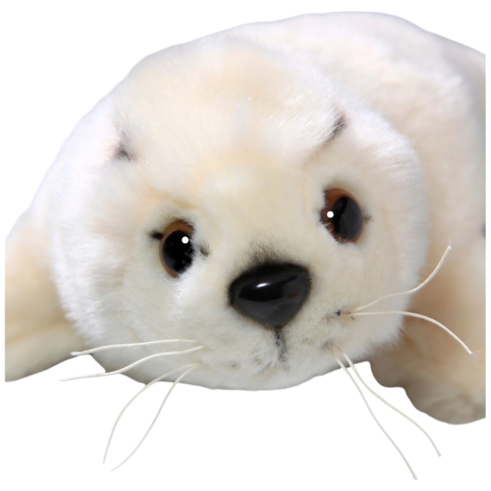 Seehund Baby