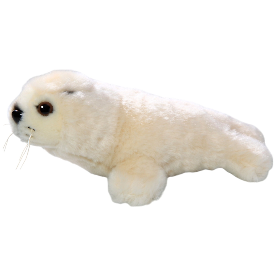 Seehund Baby