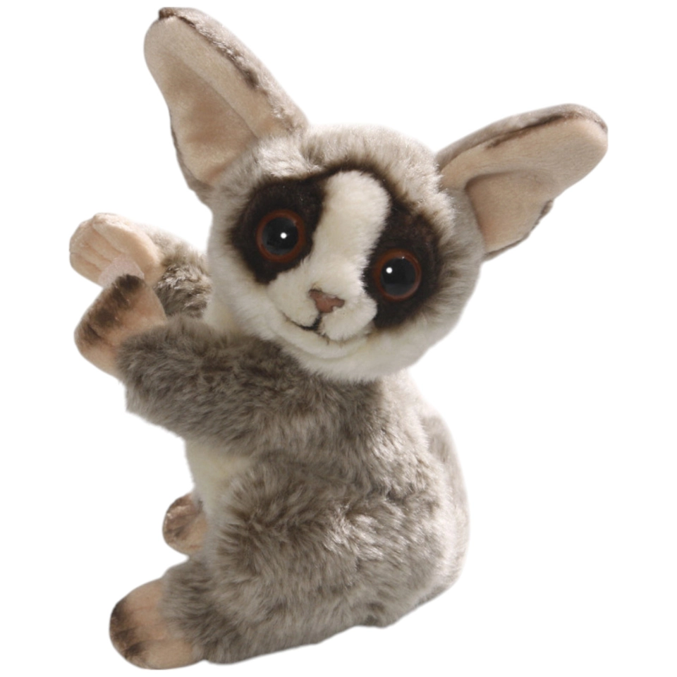 Buschbaby, Galagos