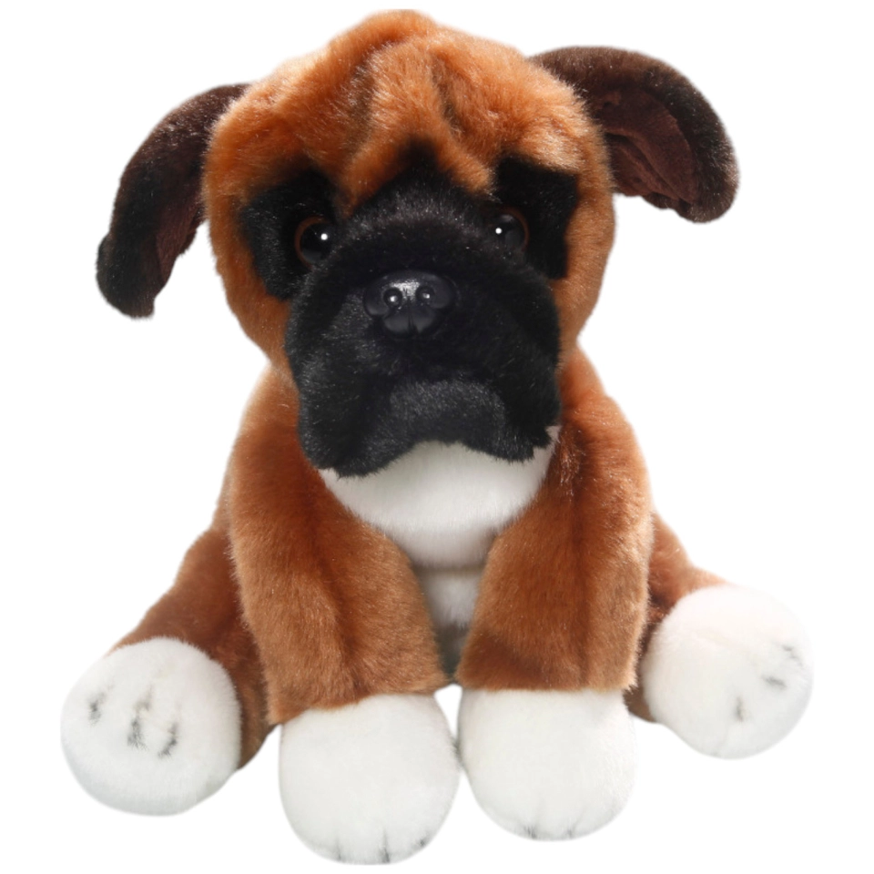 Boxer