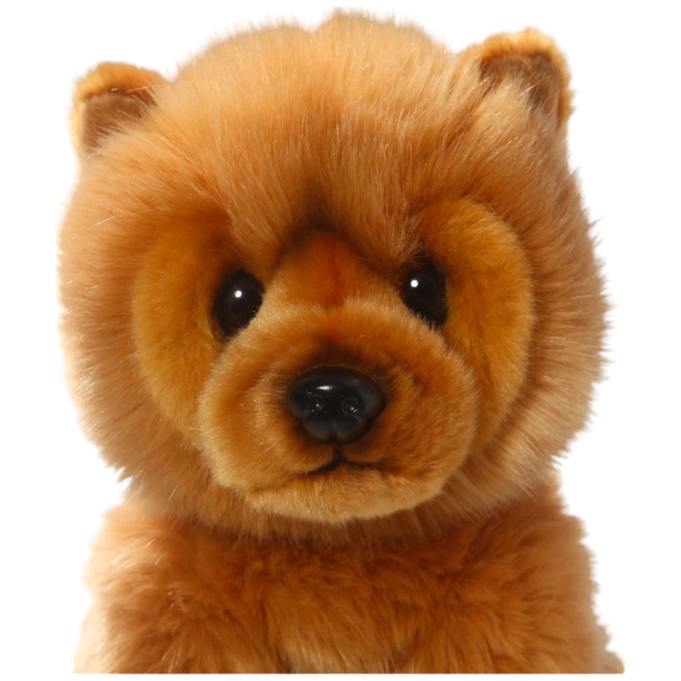 Chow-Chow