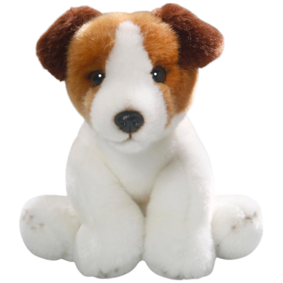 Jack Russel Terrier