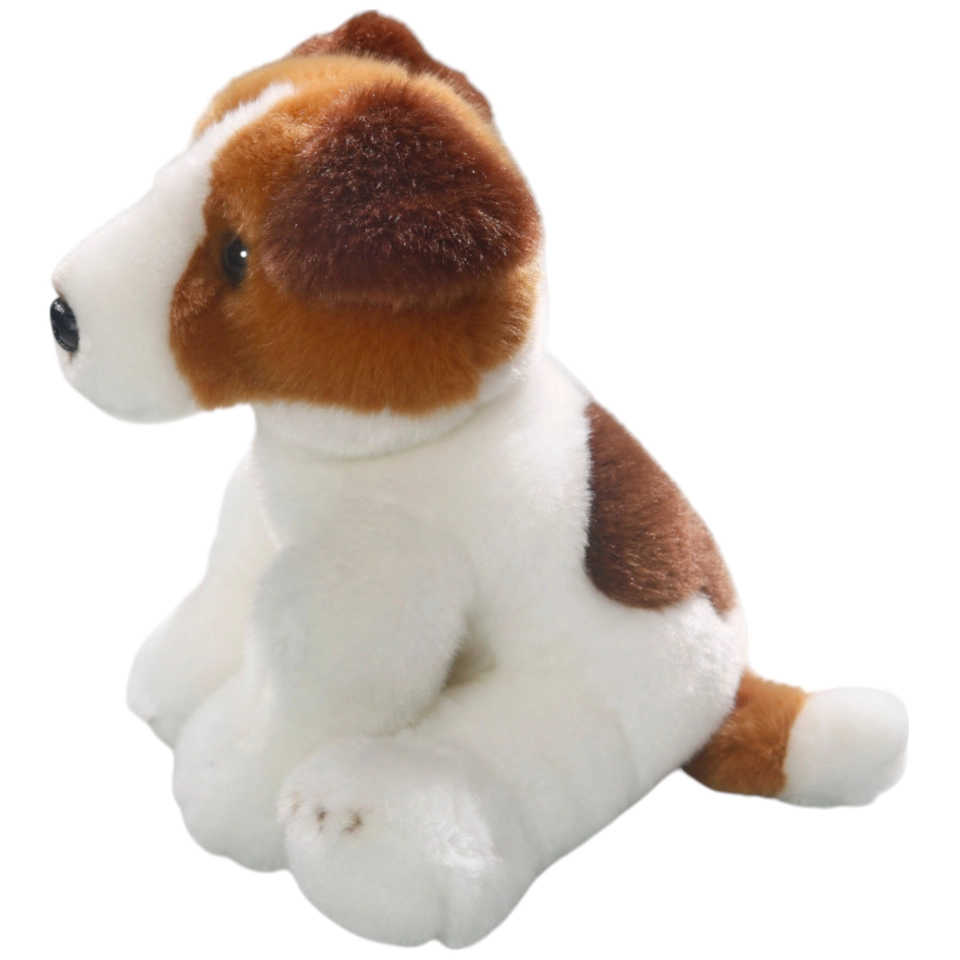 Jack Russel Terrier