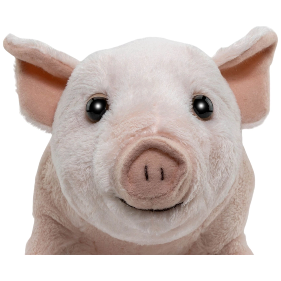Schwein, Ferkel