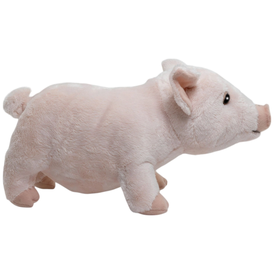 Schwein, Ferkel