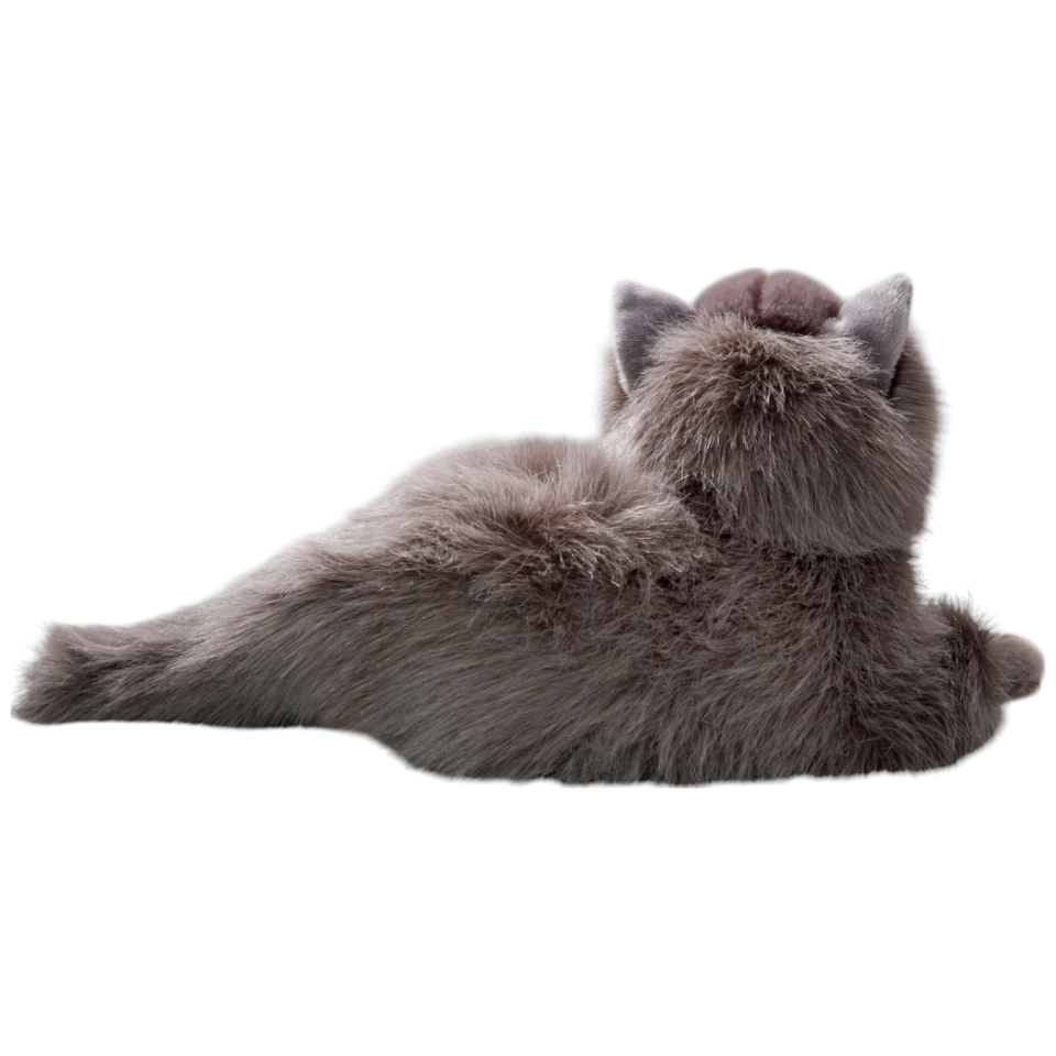Katze, Perserkatze liegend grau